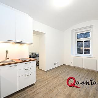 Pronájem bytu 1+1 27 m² Praha