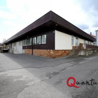 Pronájem skladu 1 100 m² Příbram VI-Březové Hory, Prokopská