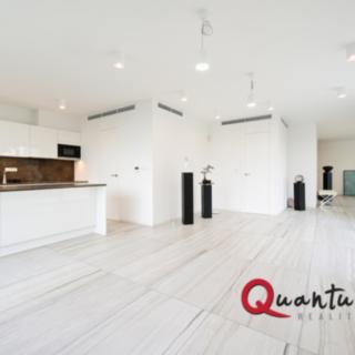 Pronájem bytu 1+kk a garsoniéry 100 m² Praha, Na usedlosti