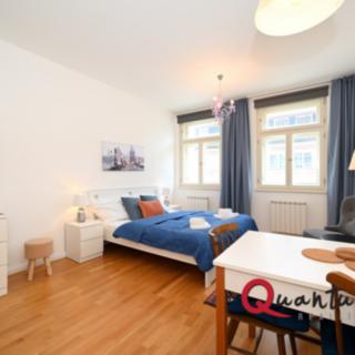 Pronájem bytu 1+kk a garsoniéry 30 m² Praha Vinohrady, Záhřebská