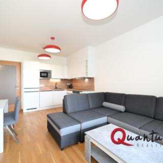 Pronájem bytu 2+kk 50 m² Praha Holešovice, Argentinská