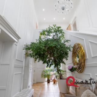 Prodej rodinného domu 327 m² Praha