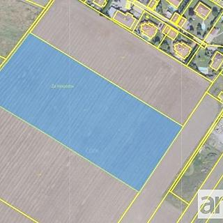 Prodej zemědělské půdy 11 950 m² Kostelec nad Labem Jiřice