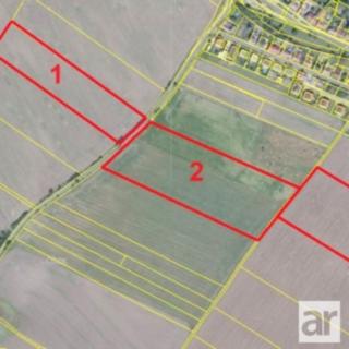 Prodej zemědělské půdy 32 955 m² Kostelec nad Labem Jiřice