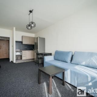 Pronájem bytu 1+kk a garsoniéry 30 m² Praha Střížkov, Černého