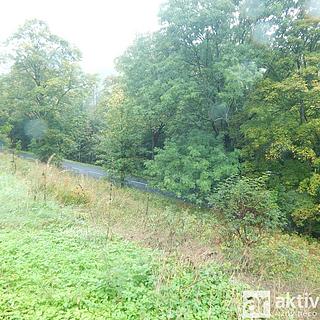 Prodej zahrady 876 m² Vejprty, Ovocná