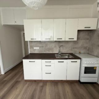 Pronájem bytu 3+1 65 m² Litvínov Horní, Valdštejnská