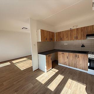 Pronájem bytu 3+1 55 m² Most, U Stadionu