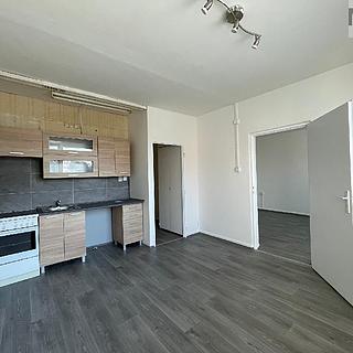 Pronájem bytu 1+1 35 m² Litvínov, U Zámeckého parku