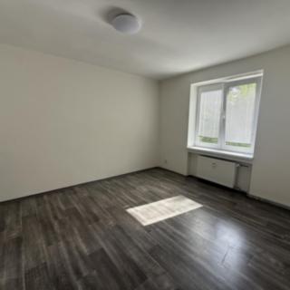 Pronájem bytu 1+1 30 m² Most, Lesní