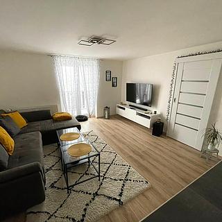 Pronájem bytu 2+1 58 m² Meziboří, Okružní