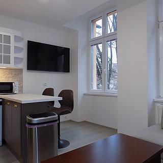 Pronájem bytu 2+1 53 m&sup2; Teplice