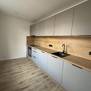 Pronájem bytu 2+1 54 m² Most, Maxe Švabinského