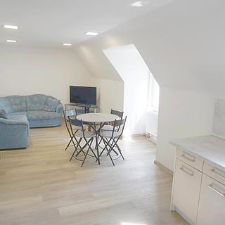 Pronájem bytu 2+kk Litvínov Horní, Mánesova