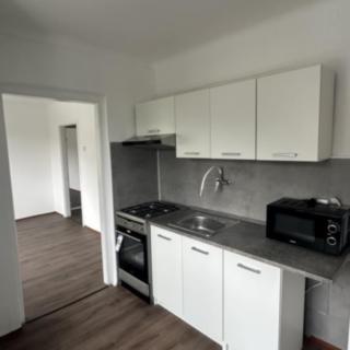 Prodej bytu 3+1 58 m² Litvínov Chudeřín, Horská