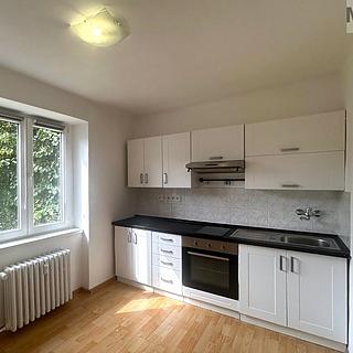 Pronájem bytu 1+1 30 m² Most, Lesní