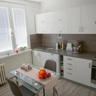 Pronájem bytu 1+1 Litvínov Horní, Tylova