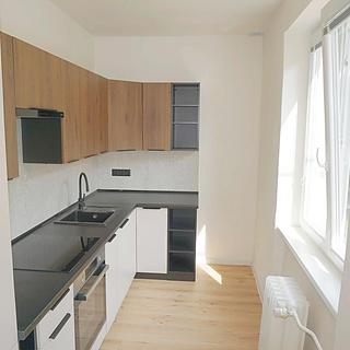 Pronájem bytu 2+1 Litvínov Horní Litvínov, Studentská