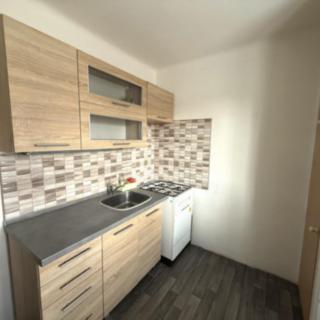 Prodej bytu 1+1 29 m² Litvínov Chudeřín, Horská