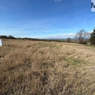 Pronájem stavební parcely 1144 m² Havraň