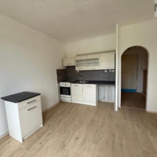Pronájem bytu 1+1 35 m² Bílina Teplické Předměstí, Sídliště Za Chlumem
