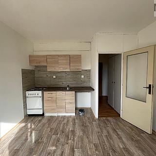 Pronájem bytu 1+1 35 m² Litvínov Horní Litvínov, B. Němcové