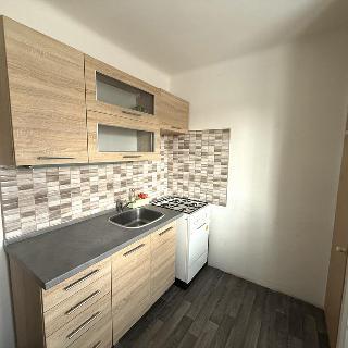Pronájem bytu 1+1 29 m² Litvínov Chudeřín, Horská
