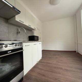 Pronájem bytu 3+1 58 m² Litvínov Chudeřín, Horská