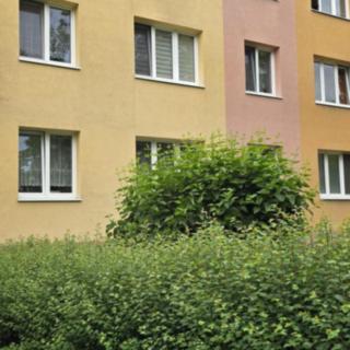 Pronájem bytu 3+1 69 m² Most
