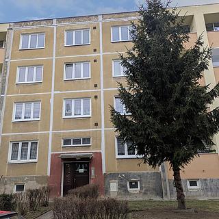 Pronájem bytu 2+1 55 m² Bílina Teplické Předměstí, M. Švabinského