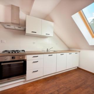 Pronájem bytu 1+1 42 m² Osek, Tovární