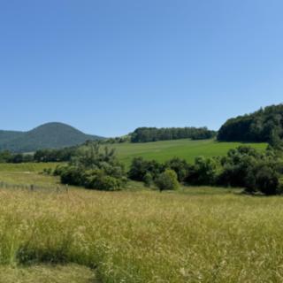 Prodej stavební parcely 1 489 m² Světec Štrbice