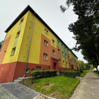 Pronájem bytu 2+1 40 m² Most