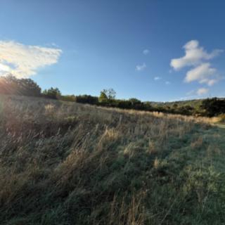Prodej stavební parcely 1 645 m² Bžany Bukovice