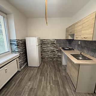 Pronájem bytu 1+1 30 m² Most, Lesní