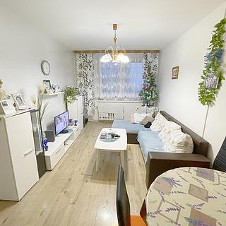 Prodej bytu 2+kk 40 m² Litvínov, Přátelství