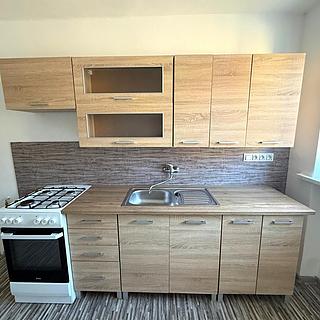 Pronájem bytu 2+1 59 m² Most, Konstantina Biebla