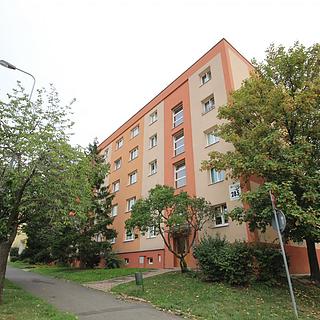 Pronájem bytu 2+1 53 m² Most, Zdeňka Fibicha