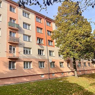 Pronájem bytu 2+1 55 m² Most, Petra Jilemnického