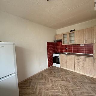 Pronájem bytu 3+1 55 m² Most, Jana Kubelíka