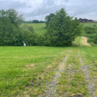 Prodej zemědělské půdy 33 045 m² Starý Jičín Palačov