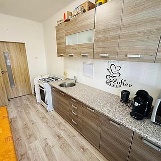 Prodej bytu 1+1 37 m² Most, Josefa Skupy