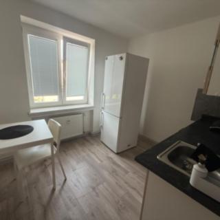 Pronájem bytu 1+1 30 m² Most, Lesní