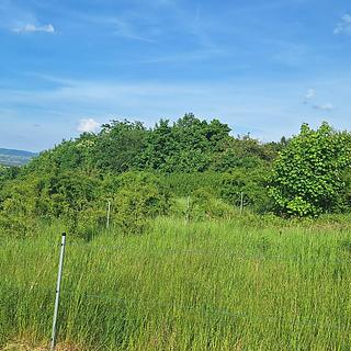 Prodej stavební parcely 1200 m² Modlany