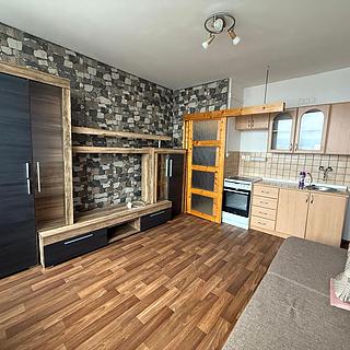 Pronájem bytu 1+kk a garsoniéry 22 m² Most, U Věžových domů
