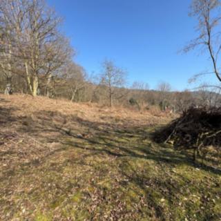 Prodej stavební parcely 1 286 m² Krupka Bohosudov