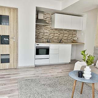 Pronájem bytu 2+kk 39 m² Most, Františka Malíka