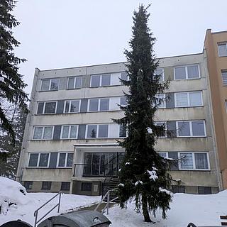 Pronájem bytu 1+kk a garsoniéry 28 m² Bílina Pražské Předměstí, Aléská