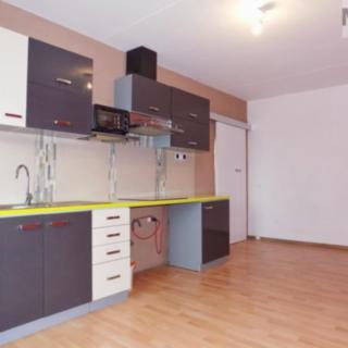 Pronájem bytu 1+1 34 m² Bílina Pražské Předměstí