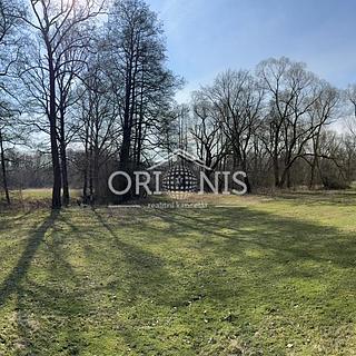 Prodej komerčního pozemku 16 901 m² Dolní Cerekev